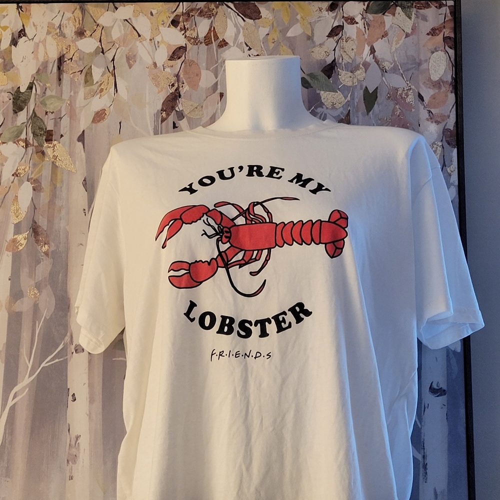 FRIENDS You're My Lobster Hi-lo Tee Soft & Comfy Women's Slim Fit XXL White - Picture 8 of 11
